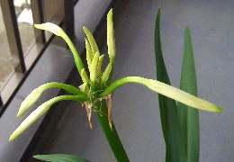 08/05